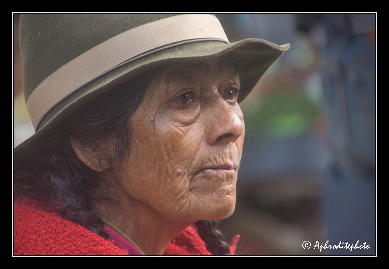 Columbia portraits 12
